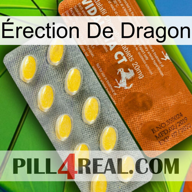 Érection De Dragon 42